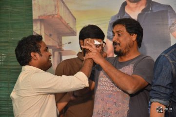 MCA Movie Success Celebrations